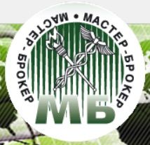 Компания «Мастер-Брокер» поможет зарегистрировать вашу фирму в таможенных органах