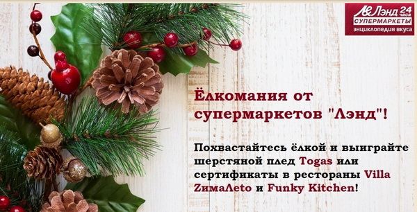 Свежее мясо санкт петербург