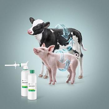 «Диастатин» – новая разработка NITA-FARM