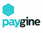 Paygine