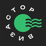 Визастор