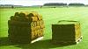 Продажа рулонного <b>газона</b> в Чехове