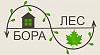 ООО "Боралес"