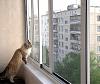Лучшие пластиковые <b>окна</b> у НАС! Дешевле. так как с завода.