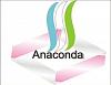 Рекламная компания Anaconda