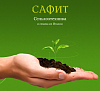 Сафит ООО