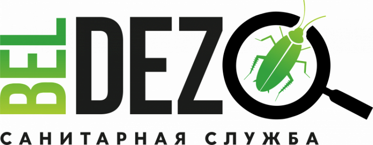 beldez.by - дезинсекция, дератизация, дезинфекция