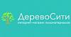 Дерево Сити