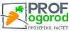 Профогород - продажа профессиональных семян овощей