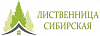 СТРОЙТОРГ ООО