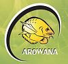 ООО Компания Арована